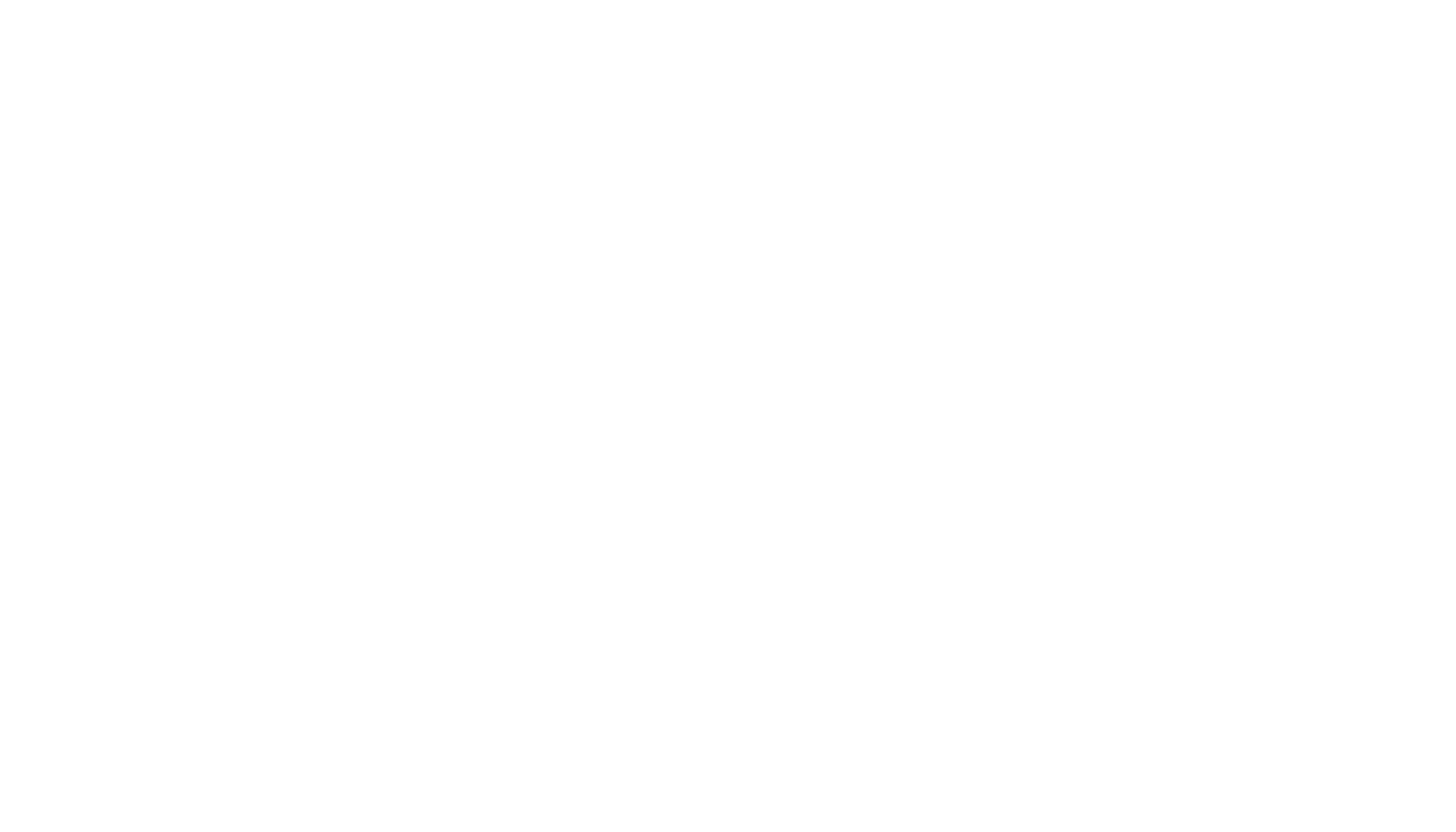 Ally